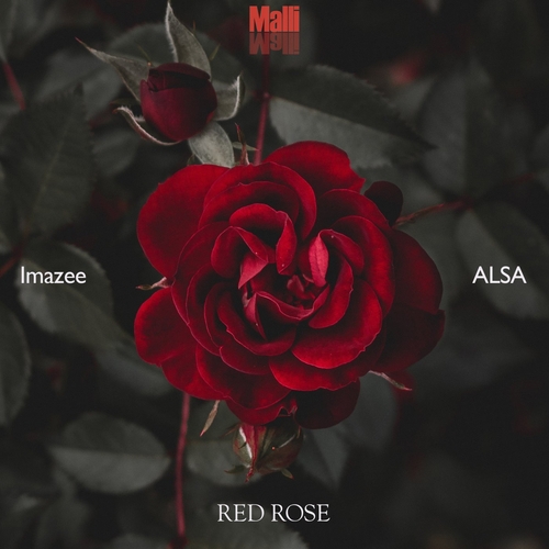 ALSA, Imazee - Red Rose [MMR029]